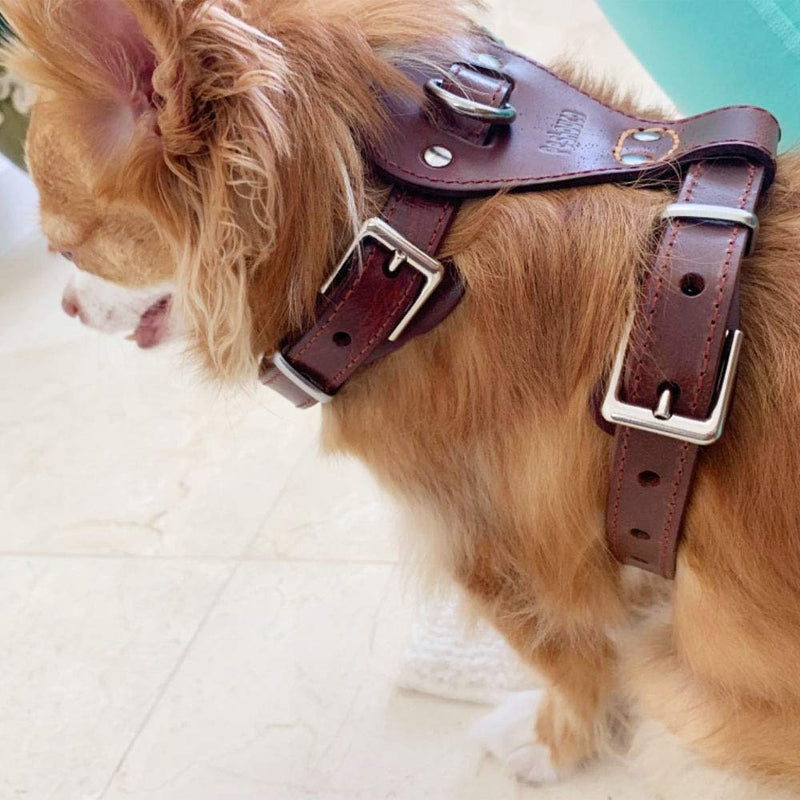 [Australia] - PESHOUCO Leather Dog Harness No Pull Design Genuine Leather Durable Strong Pet Harness with Adjustable Straps Easy Control Pet Vest 