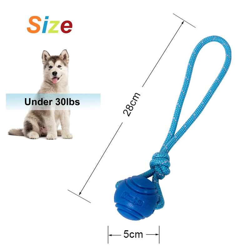 Vitalili Dog Training Ball on A Rope Rubber Dog Rope Toys Ball with Handle for Tug of War K9 Training Rewards for Belgian Malinois Gifts, 5cm in Diameter for Small Dogs (Blue) Blue - PawsPlanet Australia