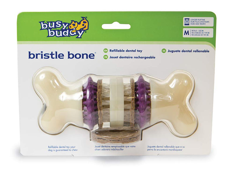 PetSafe Busy Buddy Bristle Bone Dog Chew Toy, M Purple Medium - PawsPlanet Australia