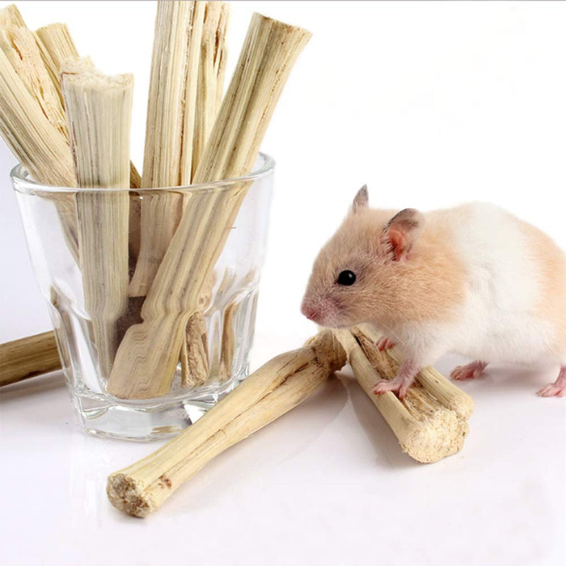 Heatoe 1 Ib Pet Molar Sweet Bamboo Snacks, Pet Chewing Toys Molar Sticks for Rabbits & Chinchillas & Guinea Pigs & Chinchillas & Hamsters & Squirrels and Other Small Animals. - PawsPlanet Australia