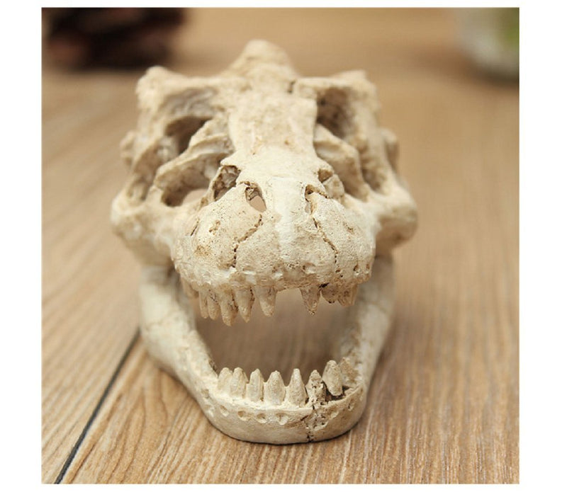 XIGUI Aquarium Decor Resin Emulational Skull - dinosaur skull skeleton ornament-fish tank small skull aquarium decoration cave landscape pet reptile house - PawsPlanet Australia