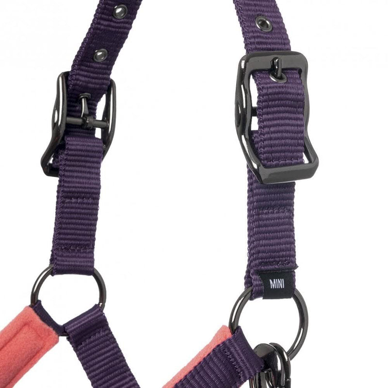 LeMieux Mini Vogue Fleece Pony Headcollar & Rope - Papaya - PawsPlanet Australia