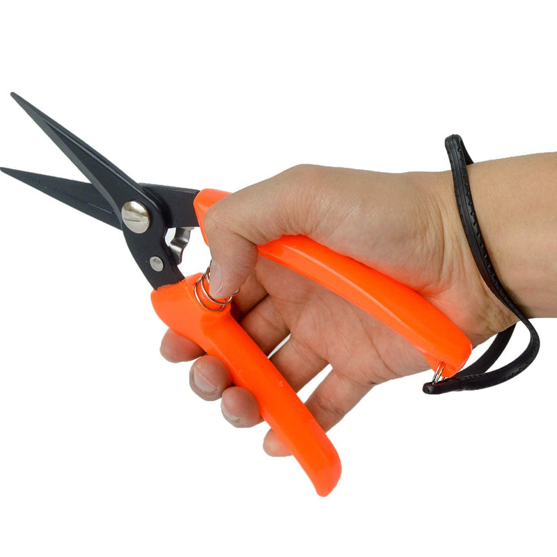 Hoof Trimming Shears for Sheep Goat Hoof Trimmers Multi-Purpose Carbon Steel Pruning Shears for Used by Farmers, Florists and Home Gardeners - PawsPlanet Australia