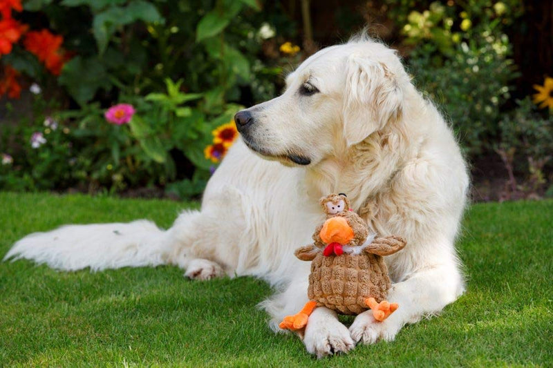 Petface Farmyard Buddies Chunky Chicken Dog Toy - PawsPlanet Australia