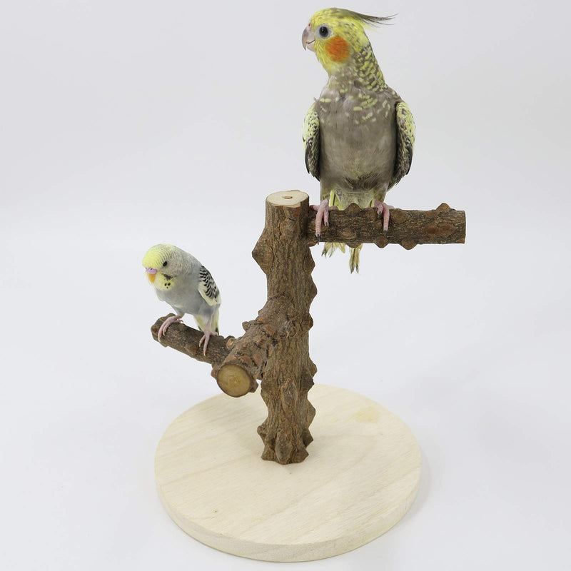 YINGGE Parrots Playstand Bird Playground Wood Perch Gym Stand Exercise Playgym for Conure Lovebirds - PawsPlanet Australia