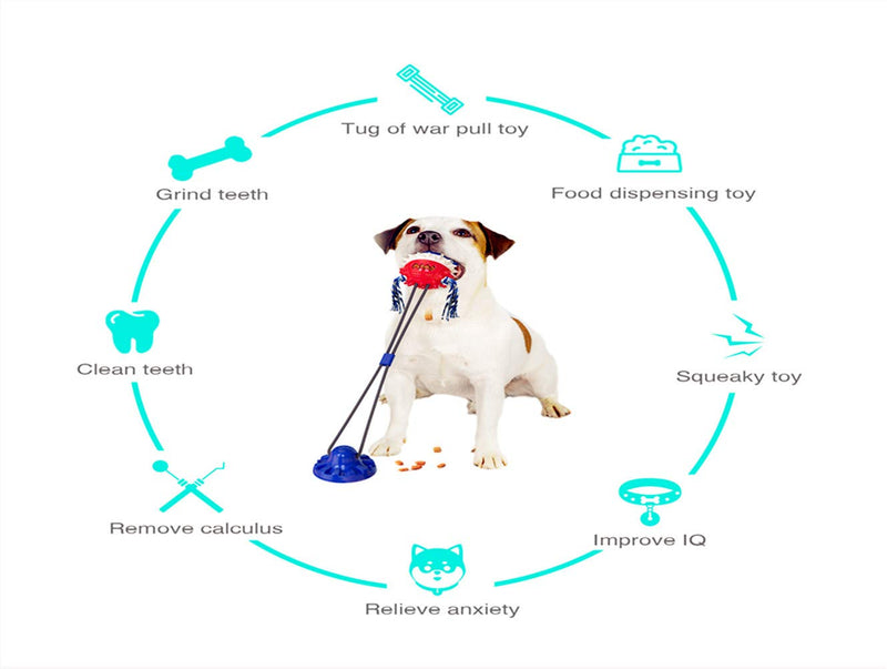 Dog Toys for Chewers ,Chew Suction Cup Tug of War Toy，New Edition,Teeth Cleaning and Food Dispensing Features，Withstand Tension 120LB,Free Floor Stickers,Suitable for Small and Medium-Sized Dogs - PawsPlanet Australia