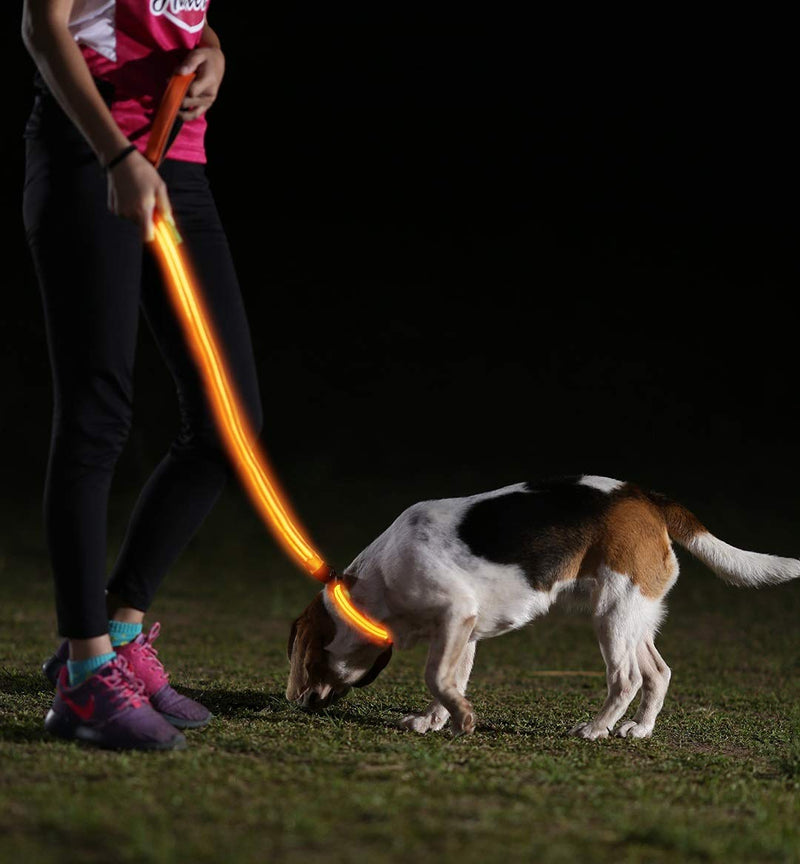 ILLUMISEEN LED Dog Collar USB Rechargeable – Bright & High Visibility Lighted Glow Collar for Pet Night Walking – Weatherproof, in 6 Colors & 6 Sizes Bright Orange XX-Small (XXS) - PawsPlanet Australia