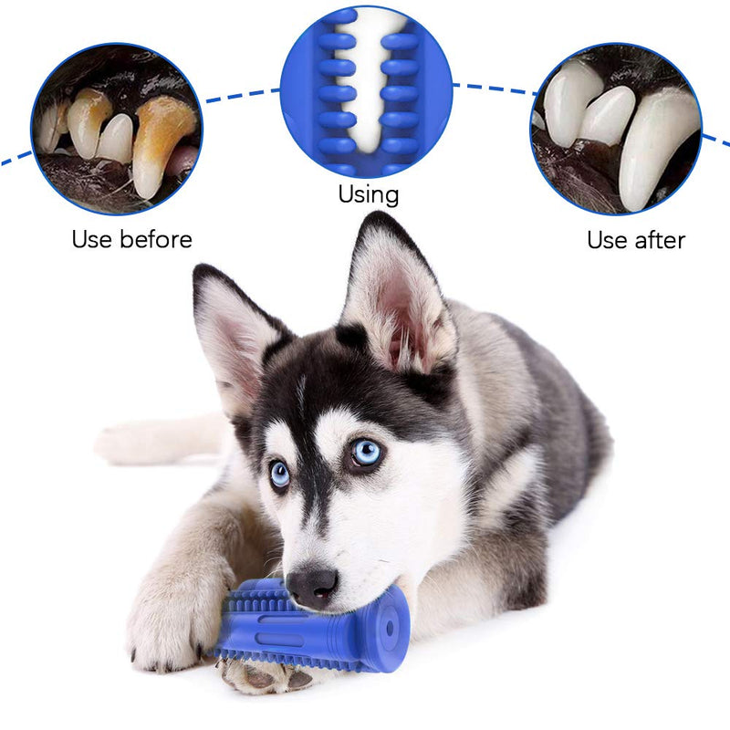 Dog Toothbrush, Puppy Teeth Cleaning Chew Toys Durable Natural Rubber Dog Brushing Stick Dental Care Bones for Dogs Bite Resistant Blue Small - PawsPlanet Australia