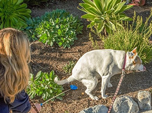 PawCheck P-Scoop Dog Urine Collector - Telescopic Dog Urine Catcher extends to 29" - PawsPlanet Australia