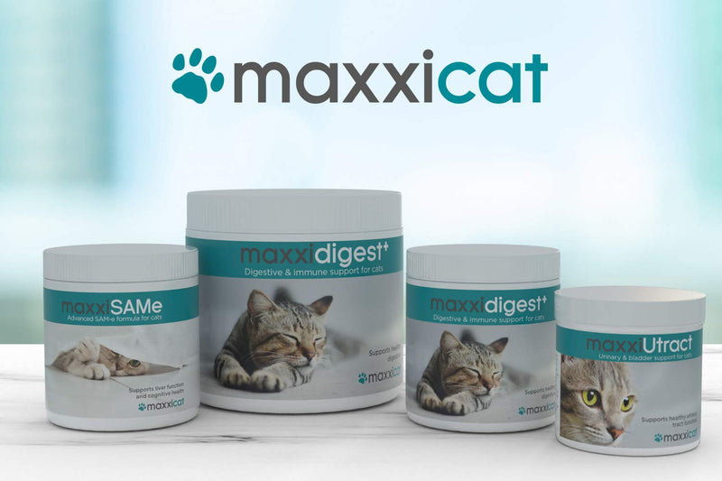 maxxipaws maxxidigest+ Digestive and Immune Support Supplement for Cats with Probiotics, Prebiotics and Digestive Enzymes – Powder 90 g 90 g (Pack of 1) - PawsPlanet Australia