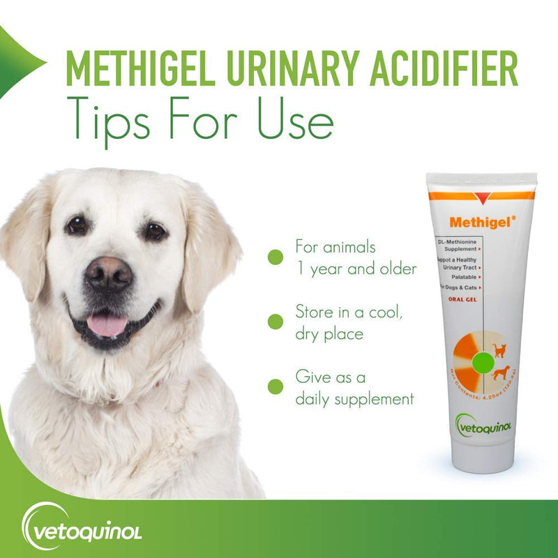 Vetoquinol Methigel Urinary Acidifier to Promote Urinary and Bladder Health for Dogs & Cats 4.25 Ounce (Pack of 2) - PawsPlanet Australia