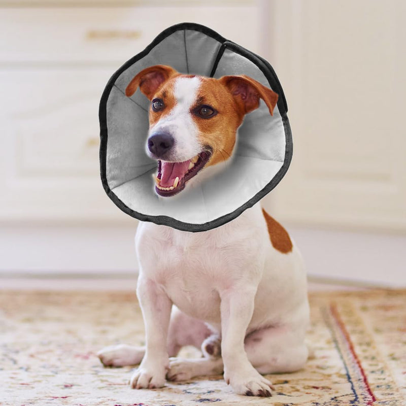 XEERUN Dog Neck Brace, Soft Comfortable Leak Protection Dog Conical Neck Brace Protective Collar Dog for Medium to Large Dogs, Postoperative Recovery Prevent Licking and Biting (L) - PawsPlanet Australia