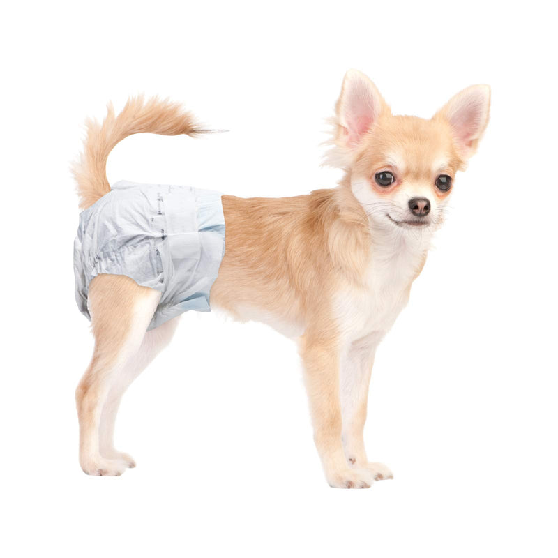 [Australia] - Paw Inspired Disposable Dog Diapers | Female Dog Diapers Ultra Protection | Puppy Diapers, Diapers for Dogs in Heat, or Dog Incontinence Diapers 12 Count X-Small 