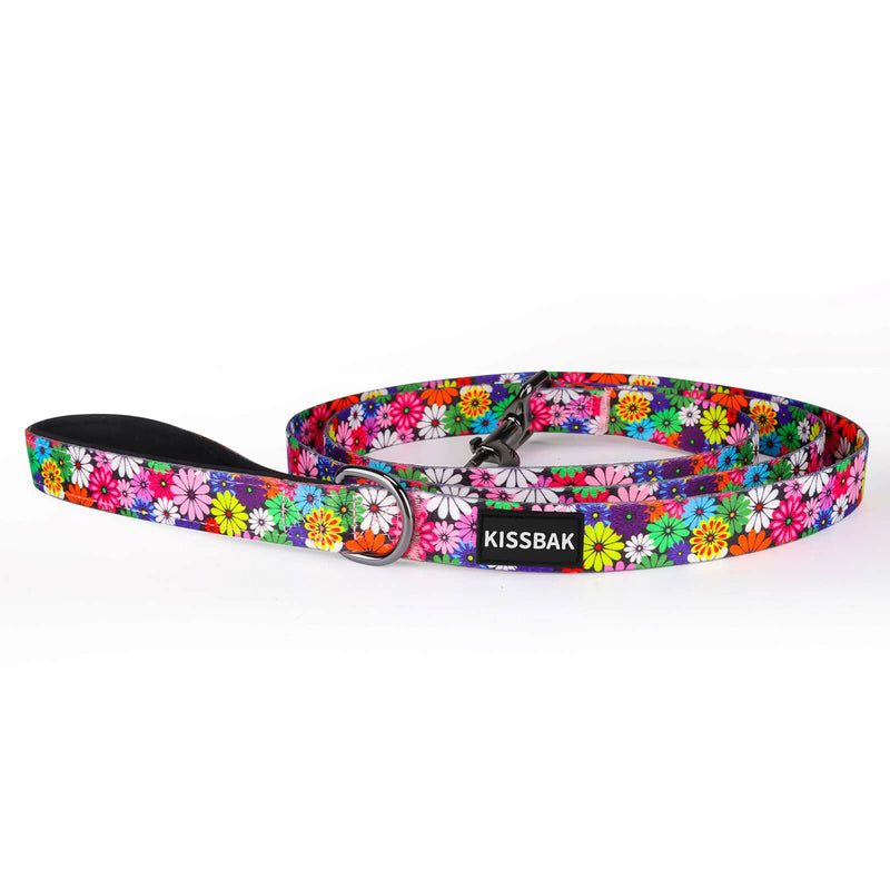 KISSBAK Dog Leash for Small-Medium-Large Dogs - Comfortable Padded Handles,Premium Floral Sunflower Dog Training Leash,Walking Lead for Dogs (Floral, Large (1 Inch x 6 Feet)) Large (1 Inch x 6 Feet) - PawsPlanet Australia