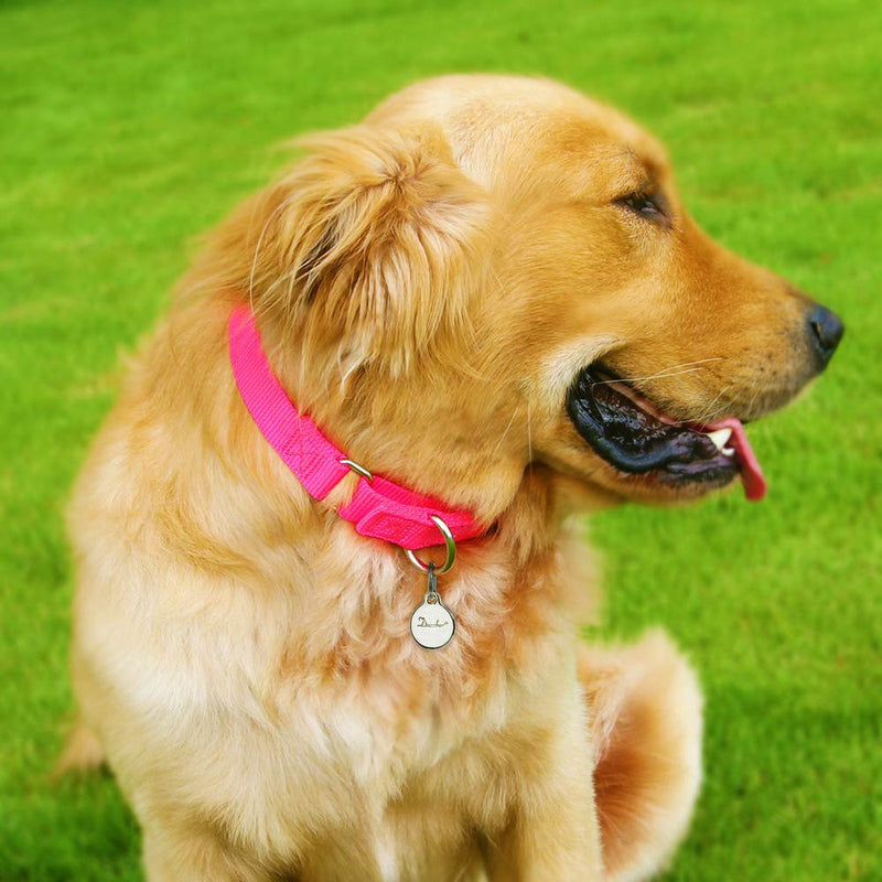 [Australia] - Dazzber Martingale Collars for Dogs, Heavy Duty Nylon Dog Collar Extra Small Pink 