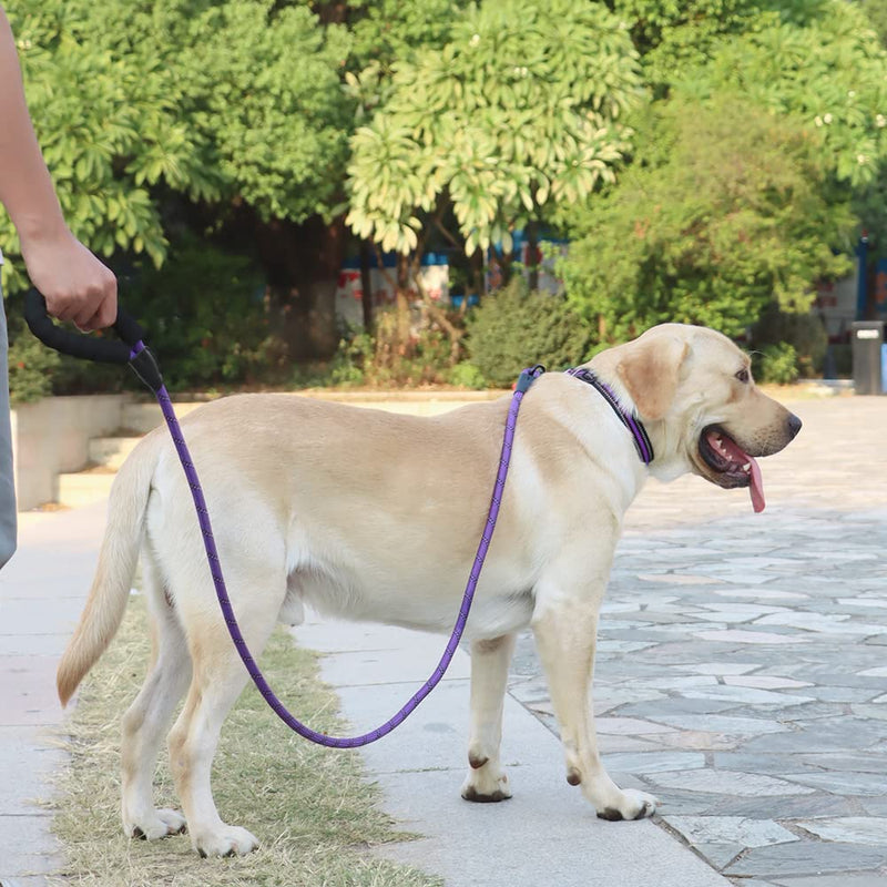 Rttochfy Dog Leash with Padded Handle, 5FT Leather Cover & Organizer, Heavy Duty Reflective Leash for Small Medium Large Dogs, Puppy Leash for Outside Walking & Running (1/2'' x 5 FT, Purple) L (1/2'' x 5 FT) - PawsPlanet Australia