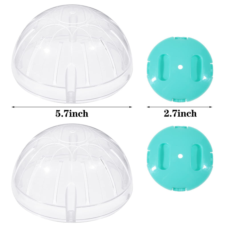 2 Pieces Hamster Exercise Ball, 5.7 Inch Hamster Running Ball Transparent Plastic Hamster Ball Wheel for Dwarf Hamsters Small Pets to Reduce Boredom and Increase Activity - PawsPlanet Australia