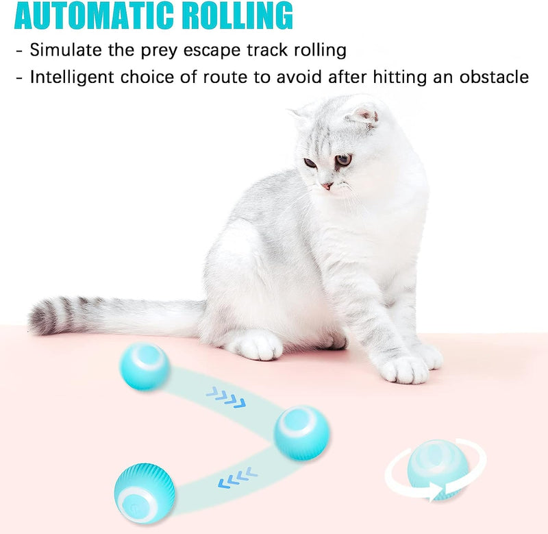Mkitnvy Interactive Cat Toy Ball, Cat Ball with LED Light, 360° Self-Rotating Electronic Cat Ball, Stimulating Hunting Drive, Funny Balls Toy for Cats, Blue - PawsPlanet Australia