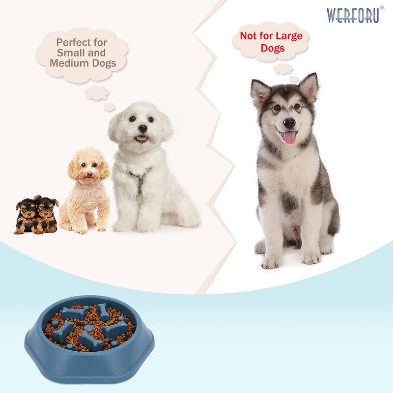 Puppies Slow Feeder Dog Bowl, Lovely Slow Eating Dog Bowl, Puppy Funny Slow Feeding Pet Bowl, Interactive Puzzle Non Skid Pet Bowl Blue - PawsPlanet Australia