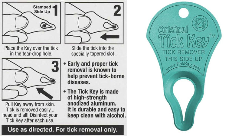 The Original Tick Key -Tick Detaching Device - Portable, Safe and Highly Effective Tick Detaching Tool (Seafoam) - PawsPlanet Australia