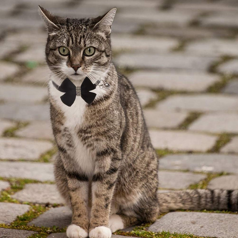 [Australia] - BINGPET Cat Collar Breakaway with Bell Bowtie, Adjustable Safety Buckle,Velvet Rhinestone Diamond, 2 Pack, Pink&Black 