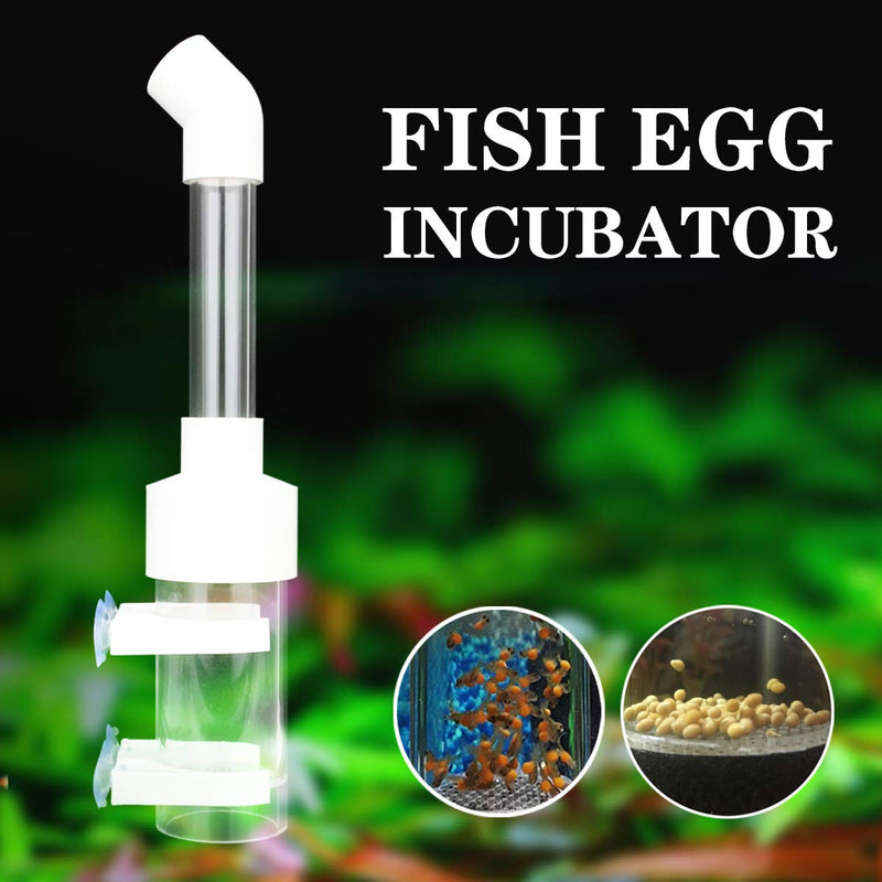 IAFVKAI Fish Egg Tumbler Incubator Aquarium Cichlids Fish Hatchery Mouth-Brooding 50mm - PawsPlanet Australia