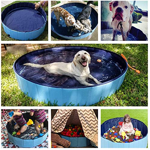 HYF 120CM Diameter Collapsible Pet Dog Bath Pool, Kiddie Pool Hard Plastic Foldable Bathing Tub PVC Outdoor Pools for Dogs Cat Kid (BLUE) - PawsPlanet Australia