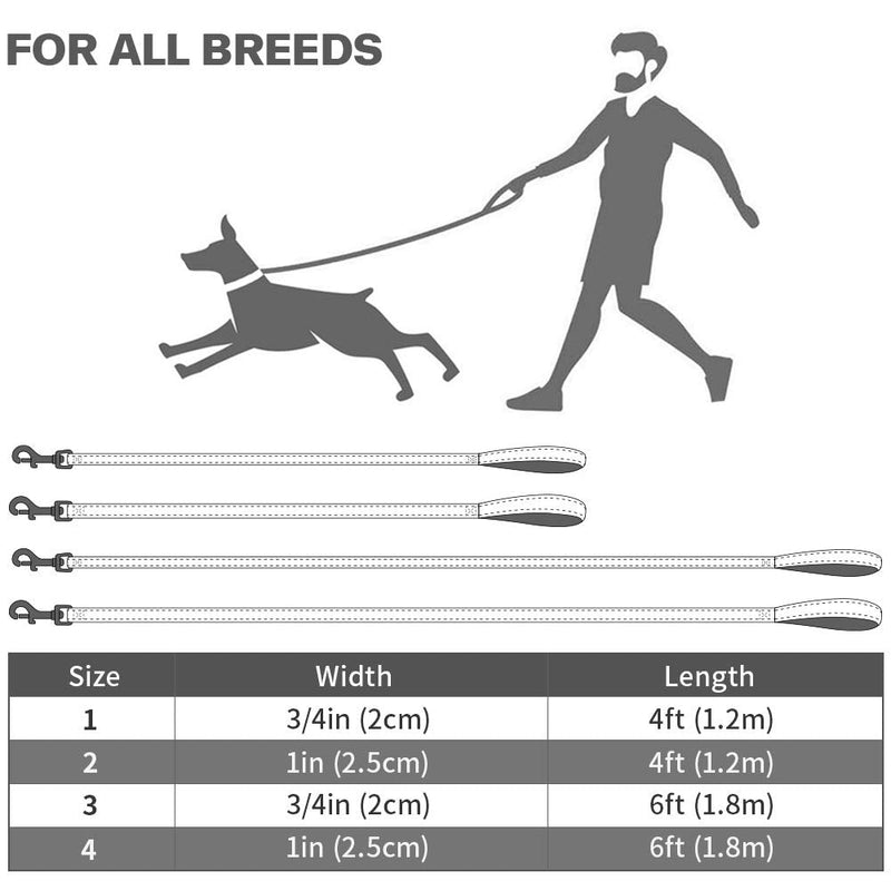 Taglory Dog Leash Small Dogs Lightweight | Double-sided reflective | Padded handle | Up to 10kg | 1.8mx 2cm | Brown 1.8 mx 2.0 cm (pack of 1) - PawsPlanet Australia