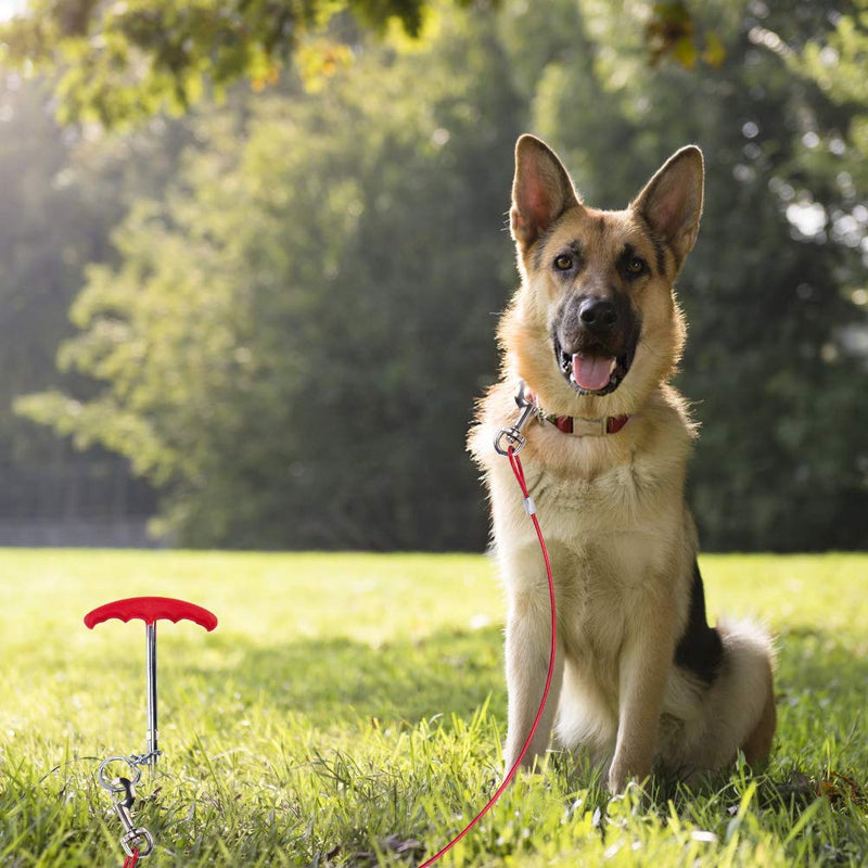 EXPAWLORER Dog Tie Out Cable and Stake 30 ft Outdoor, Yard and Camping, for Small to Medium Dogs Up to 60 lbs, 16" Stake, 30 ft Cable Runner for Yard 25 FT - PawsPlanet Australia