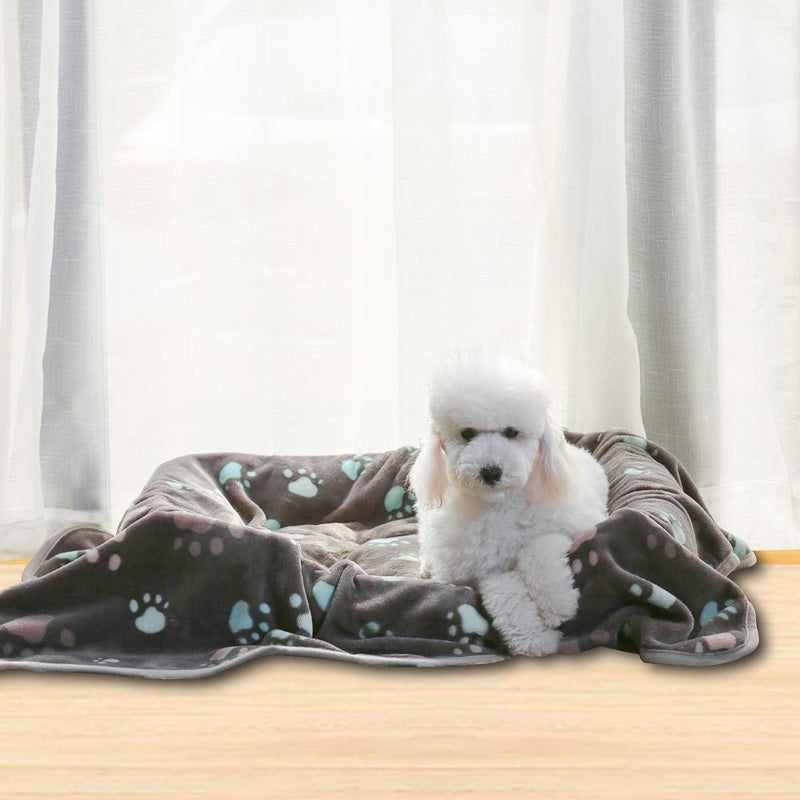 Super Soft and Premium Fuzzy Flannel Fleece Pet Dog Blanket, The Cute Print Design Washable Fluffy Blanket for Puppy Cat Kitten Indoor or Outdoor, Grey, 31 x 24 Inches 31" x 24" - PawsPlanet Australia