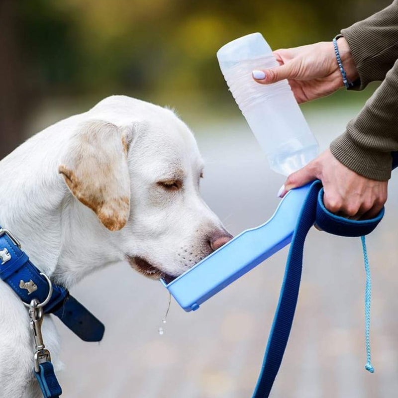 Schone Portable Water Bottle – Comes with a Water Holder - Compact & Lightweight – Leakproof & Easy to Use – KEEPS YOUR PET HYDRATED – Ideal for Car & Long Walks - PawsPlanet Australia