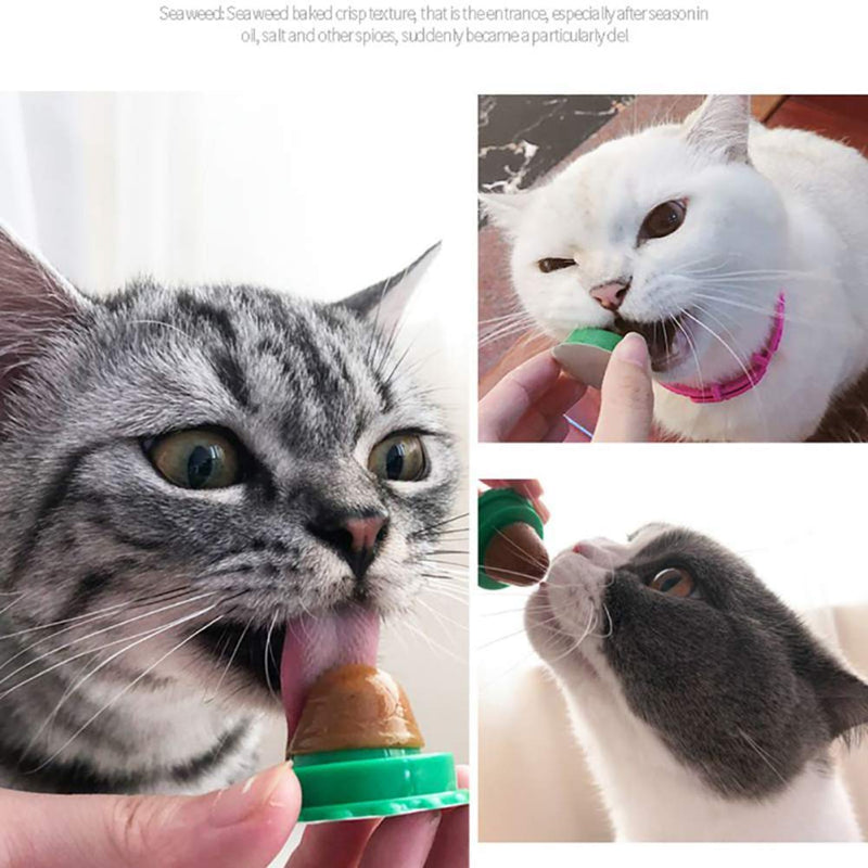 [Australia] - VinBee 5 Pack Cat Snack Licking Sugar Ball,Interactive Cat Treats, Catnip Isinglass Candy,Solid Nutrition Gel Energy Ball 