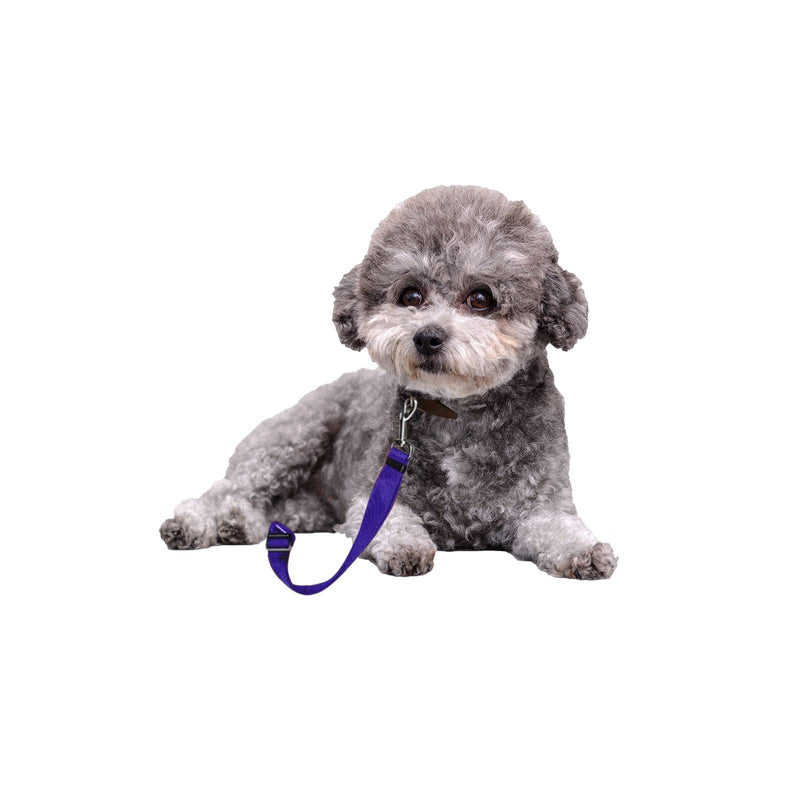 BLMHTWO Dog Seat Belt,3 Piece Adjustable Dog Car Harness Safety Dog Seatbelt Durable Nylon Retractable Pet Seat Belt Dog Accessories Leash Leads Car Vehicle Seatbelt for Dogs Cats and Pets - PawsPlanet Australia