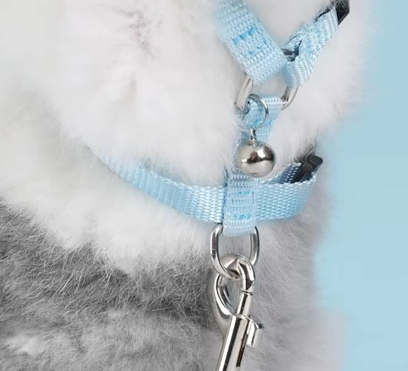Maloftars Pack of 2 Rabbit Harnesses with Leash, Adjustable Rabbit Harness, Escape-Proof Rabbit Leash, Jogging Harness, Nylon Rabbit Harness for Small Animals, Blue & Pink - PawsPlanet Australia