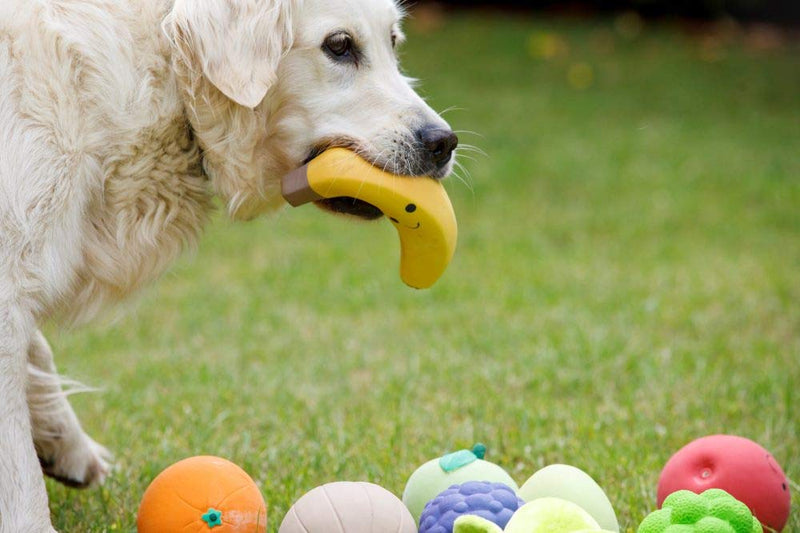 Petface Latex Apple Soft Chew Dog Toy, Large - PawsPlanet Australia