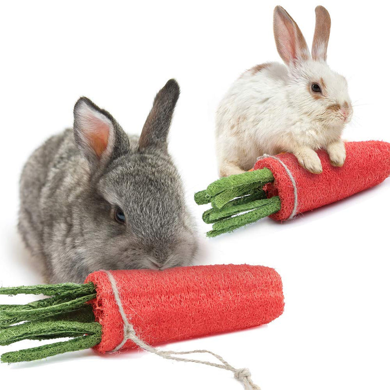 FASTER Rabbit Chew Toys for Teeth, 2PCS Carrot Shaped Tooth Cleaning Toys Chew Bite Pet Snacks Treat Toy with Hang Rope for Rabbit Cats Puppy Hamster Teeth Healthy Care - PawsPlanet Australia