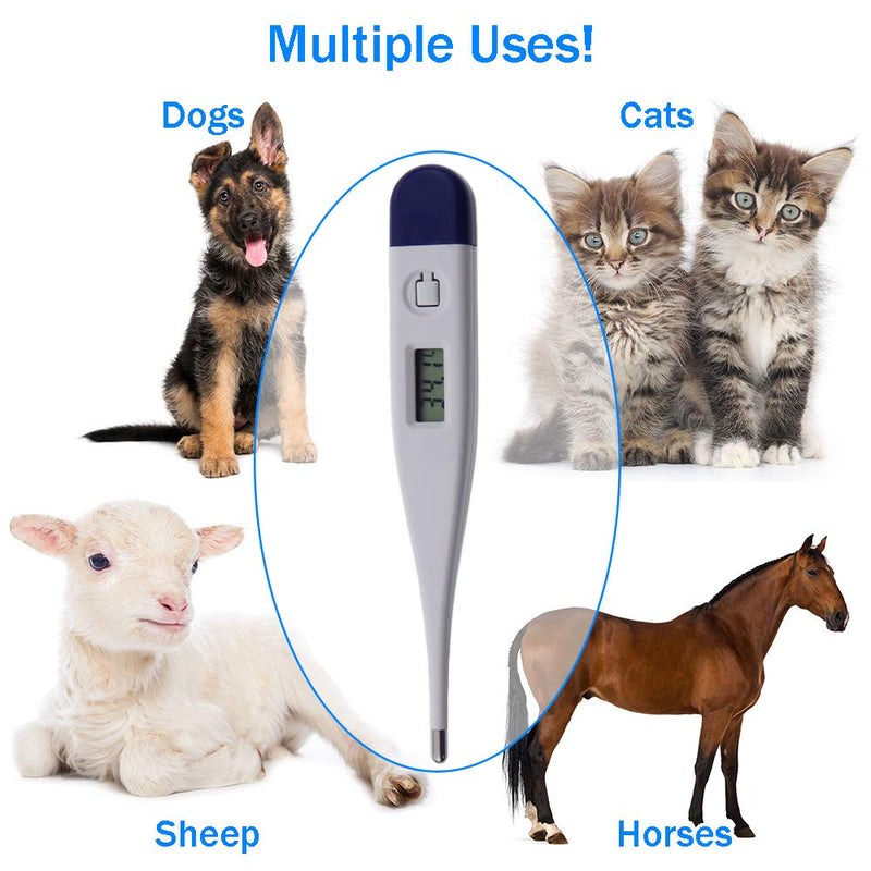 Digital Vets Thermometer For Pet Owners of Dogs Cats Horses Animals With FREE Veterinary Hobday's Spec Chart - PawsPlanet Australia