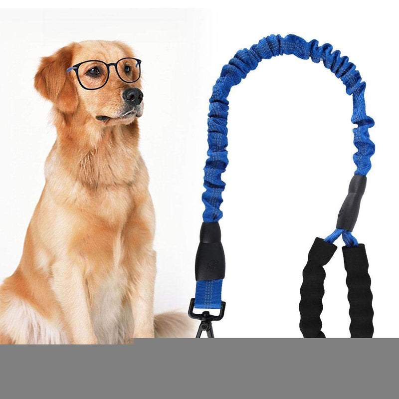 Hffheer Strong and Durable Nylon Dog Leash Reflective Nylon Lead for Large Pets Medium with Strong Extension, Soft Padded Handle blue - PawsPlanet Australia