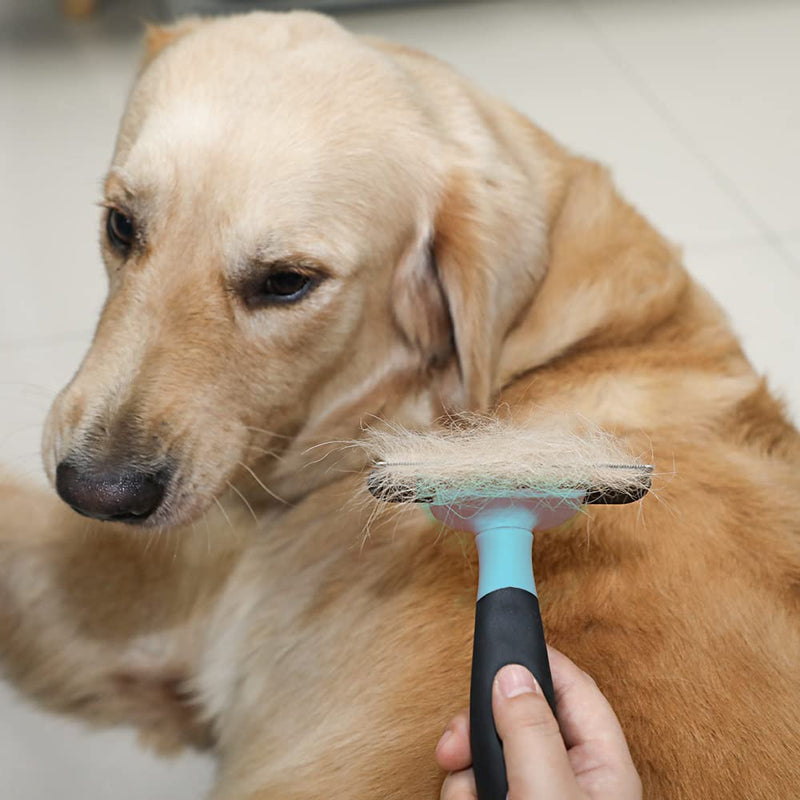 Deshedding Dog & Cat Brush Effectively Reduces Shedding In Under 10 Minutes Pet Brush for All Breeds Non-Slip Grip with Detachable Head Design - PawsPlanet Australia