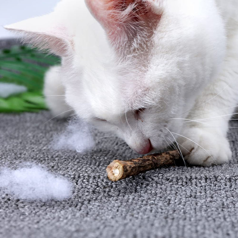 Catnip stick, 20 pieces XiXiRan dental care cat sticks, Matatabi cat chew sticks, cat chewing sticks, catnip sticks toys, pure natural catnip toys, dental care - PawsPlanet Australia