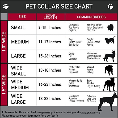 [Australia] - Dog Collar Seatbelt Buckle Pitbulls Beware of Pitbulls They Will Steal Your Heart Black 16 to 23 Inches 1.5 Inch Wide 