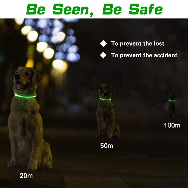 RICOVO LED Dog Collar Lights for Night Time - USB Rechargeable Waterproof Super Bright Glowing Pet Dog Cat Collar - Fashion Collar Light up for Small Medium Large Dogs (Green (Pack of 2)) Green (Pack of 2) - PawsPlanet Australia