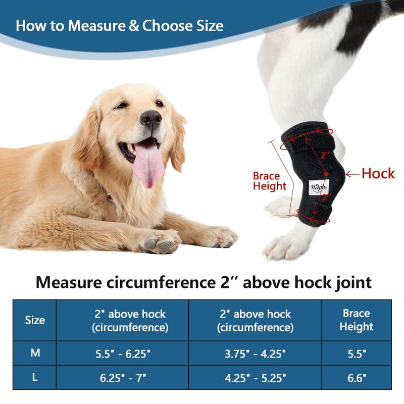 Hilph®Dog Rear Leg Hock Ice Pack Brace, Cold and Heat Compression Therapy Hock Brace with 2 Gel Ice Packs for Dog Rear Leg Injuries, Dog Joint Pain, Sprains and Post Surgery Recovery - Large L - PawsPlanet Australia