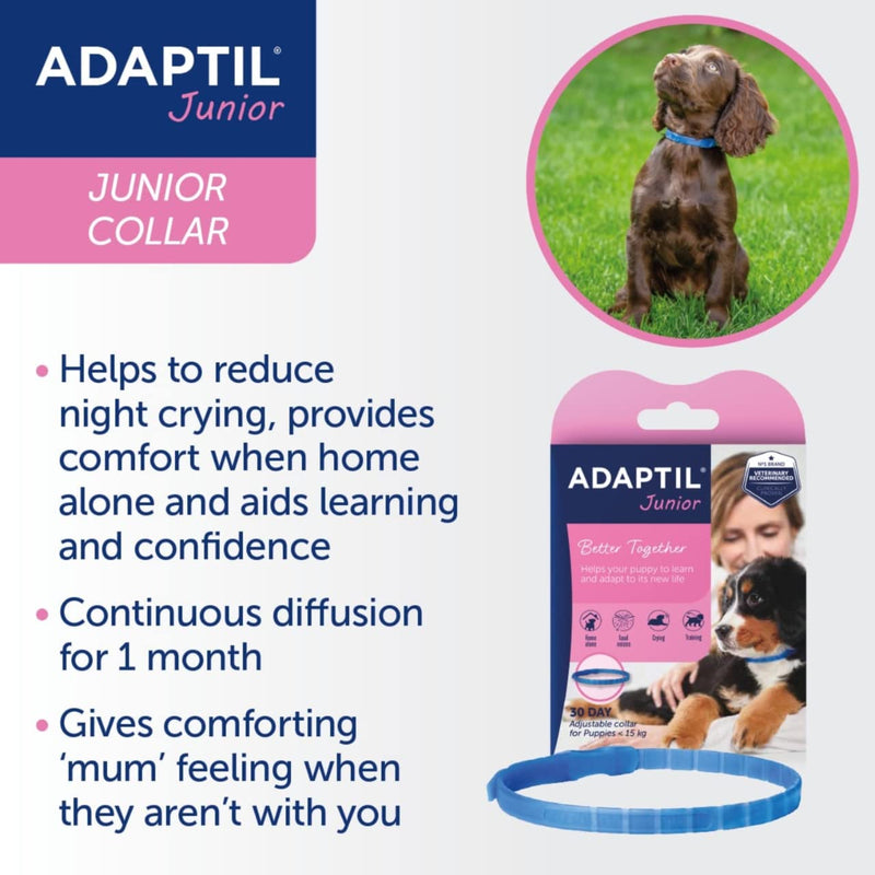 ADAPTIL Junior Adjustable Collar for puppies, proven to help reduce night crying, comfort when left home alone, training and socilisation - Puppy 1 Baby blue - PawsPlanet Australia