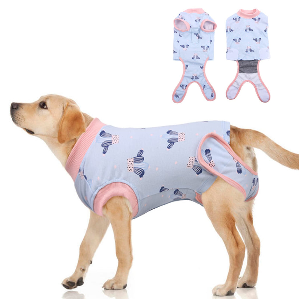 PUMYPOREITY Recovery Suit Dogs, Recovery Suit Wound Protection Suits for Puppies Dog Bodysuit after Surgery Postoperative Care Protective Clothing Wounds Anti-Licking E-Collar Alternative after Surgery (Blue, S) Blue - PawsPlanet Australia