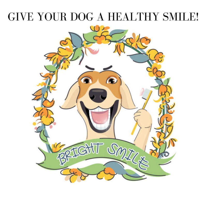 Dog Toothpaste for Plaque with 2 Finger Toothbrushes for Puppies Dogs Cats - PawsPlanet Australia