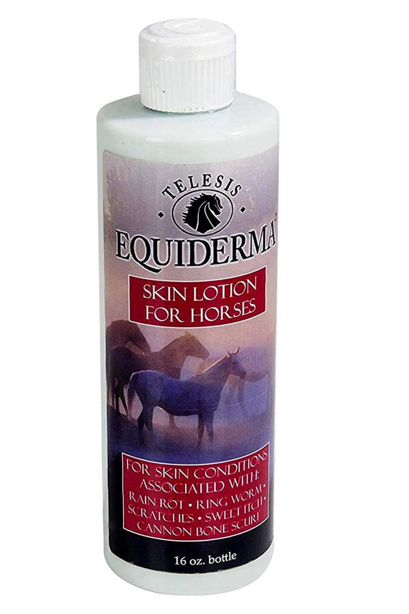 EQUIDERMA (2 Pack) Horse Skin Lotion and Zinc Oxide Paste 16oz with 10ct pet Wipes - PawsPlanet Australia