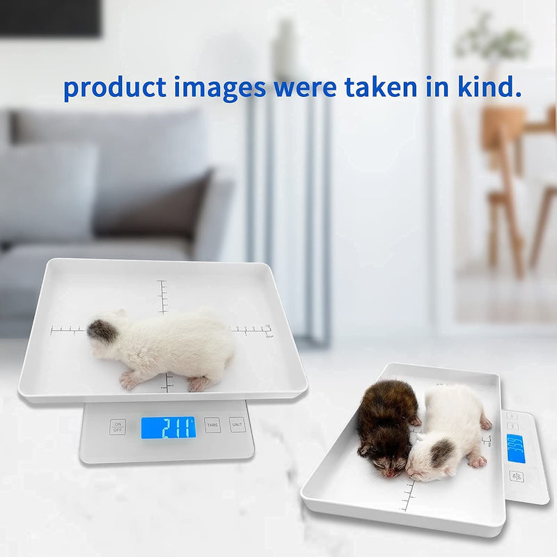 MINDPET-MED Digital Pet Scales for Small Animals Welf Scales Mini Precision Gram Weight Balance High Precision 1g Suitable for Newborn Pets White - PawsPlanet Australia