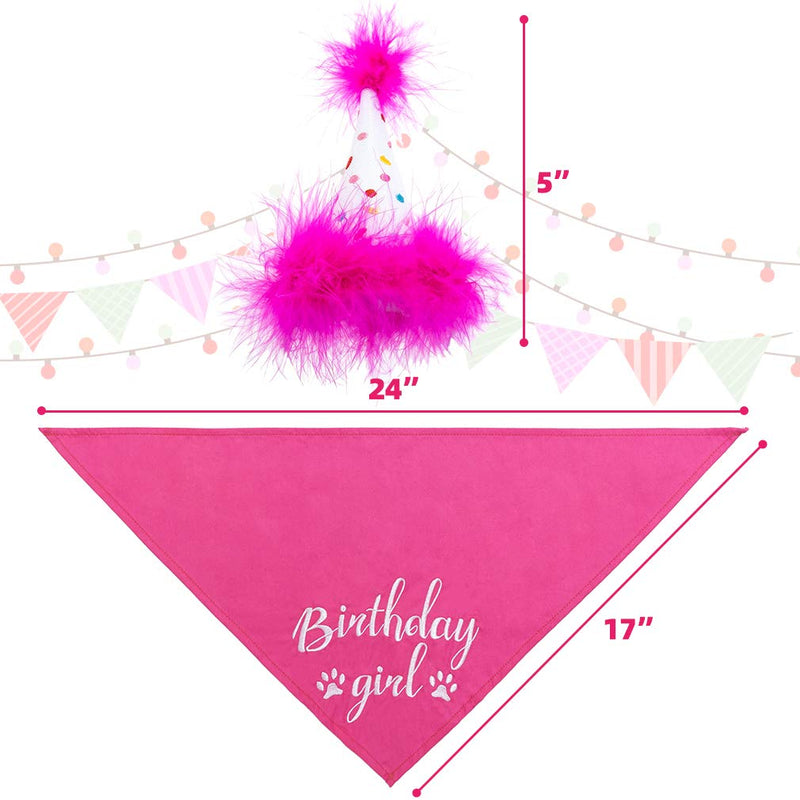 BINGPET Dog Birthday Bandana Girl Scarf and Reusable Dog Birthday Hat with 0-8 Figures Pink - PawsPlanet Australia