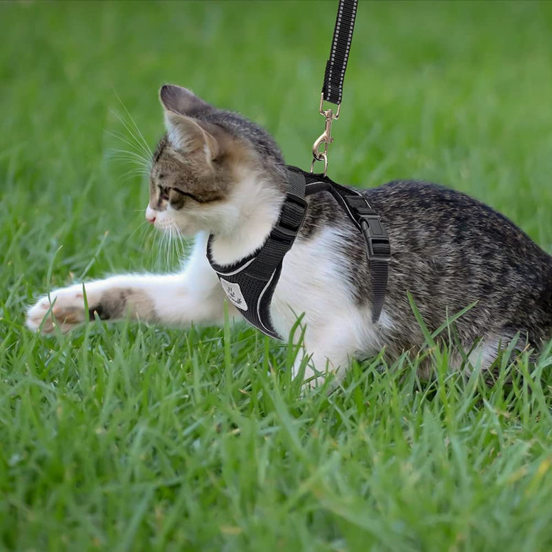 PUPTECK Cat Harness and Leash Set- Adjustable Vest Escape Proof Harness for Kitten Small Medium Cats, Retractable Breathable Soft Mesh for Outside with Reflective Strips S-Neck: 8.5- 11" Chest: 13.5- 16" Black - PawsPlanet Australia